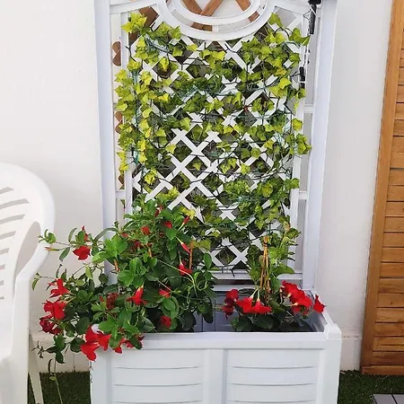 Mermaid House- Pareado Boutique - Playa A 200m- Pases Piscina Externa Holiday home
